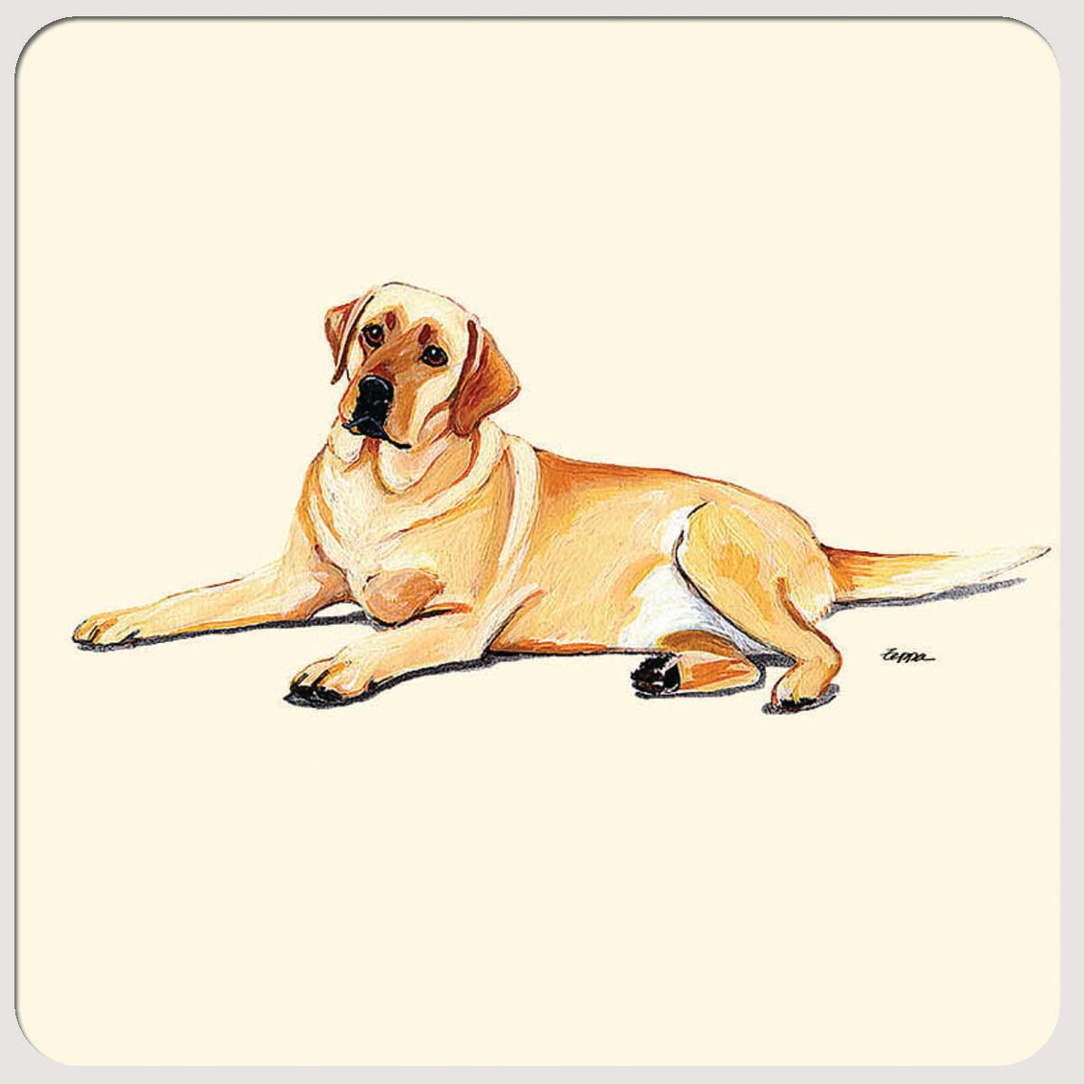 Labrador Retriever, Yellow Beverage Coasters