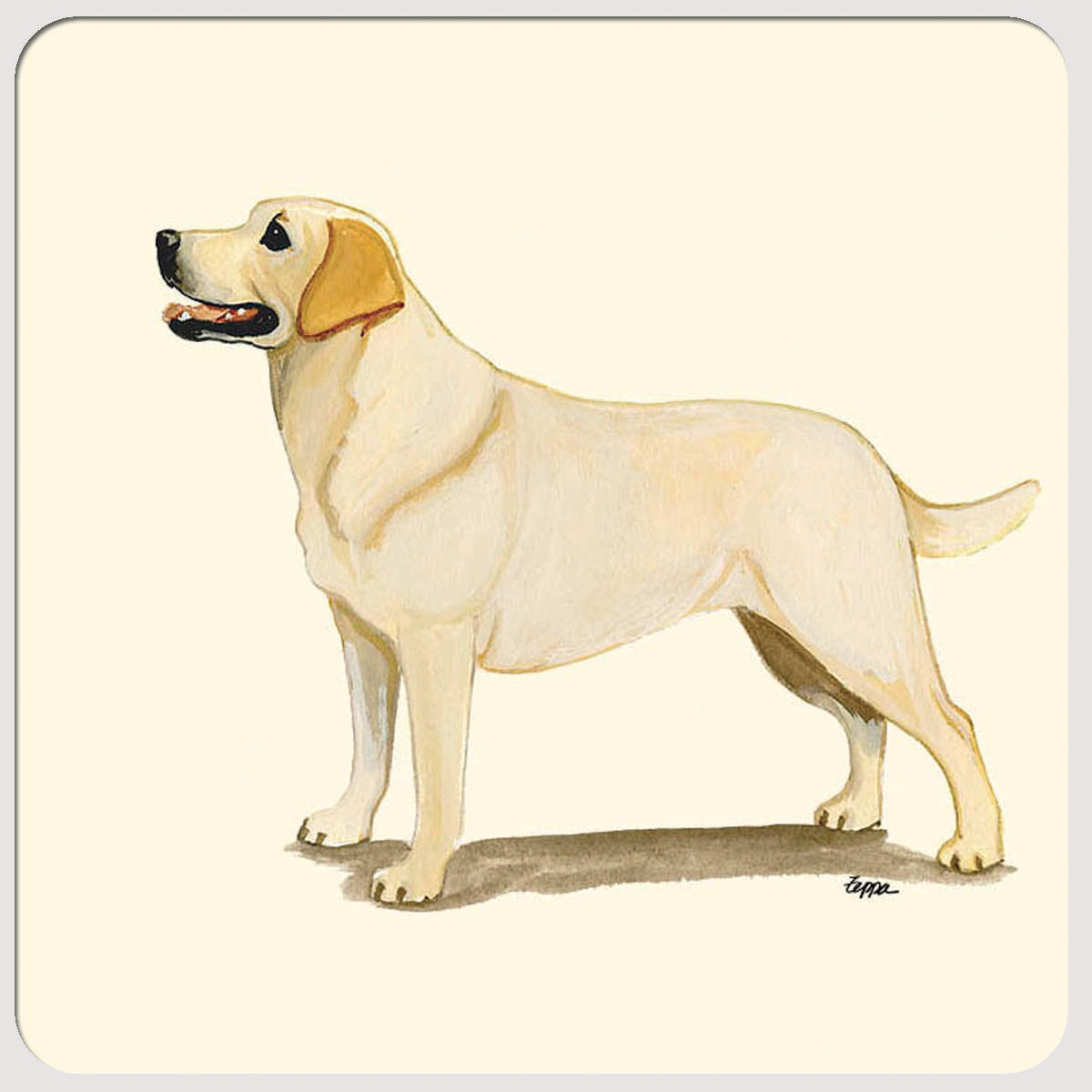 Labrador Retriever, Yellow Beverage Coasters