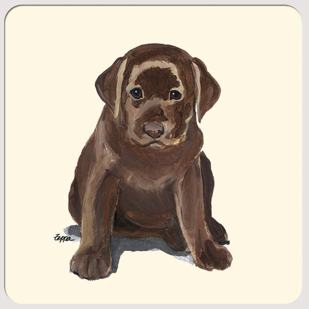 Labrador Retriever, Chocolate Beverage Coasters