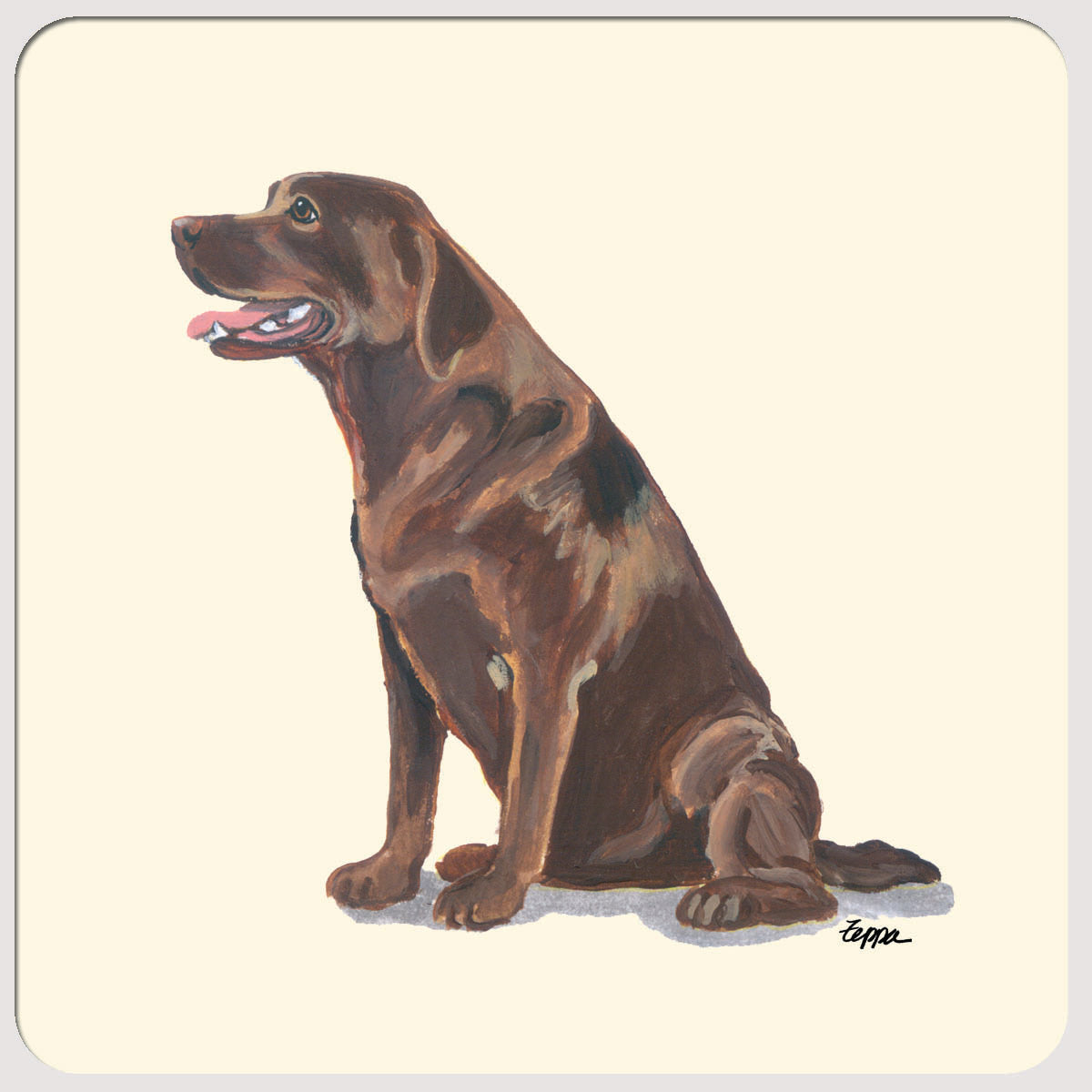 Labrador Retriever, Chocolate Beverage Coasters