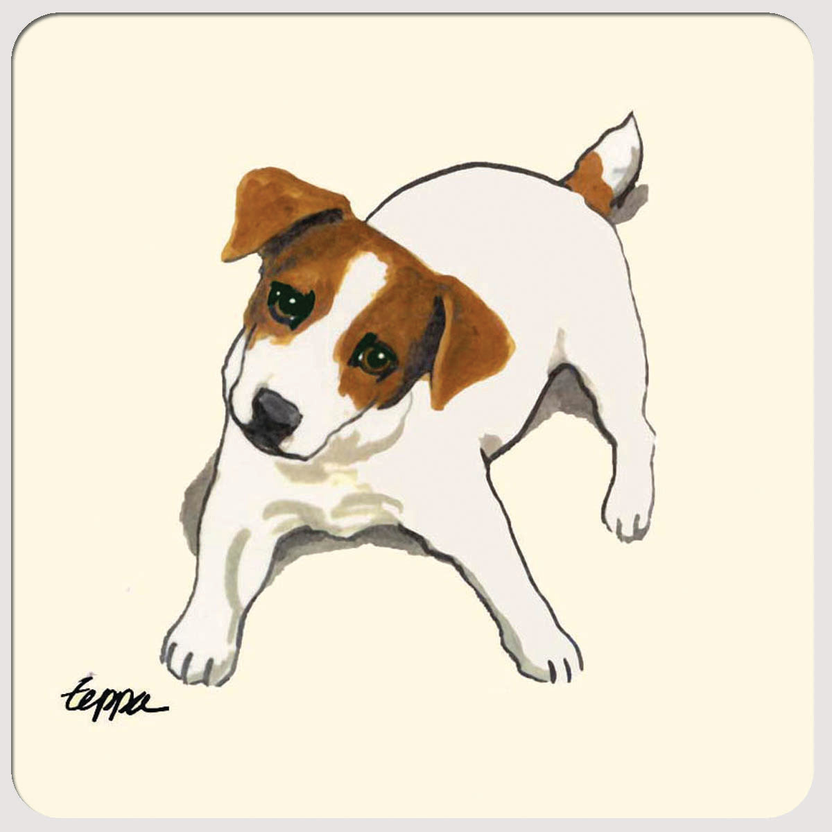 Jack Russell Terrier Beverage Coasters