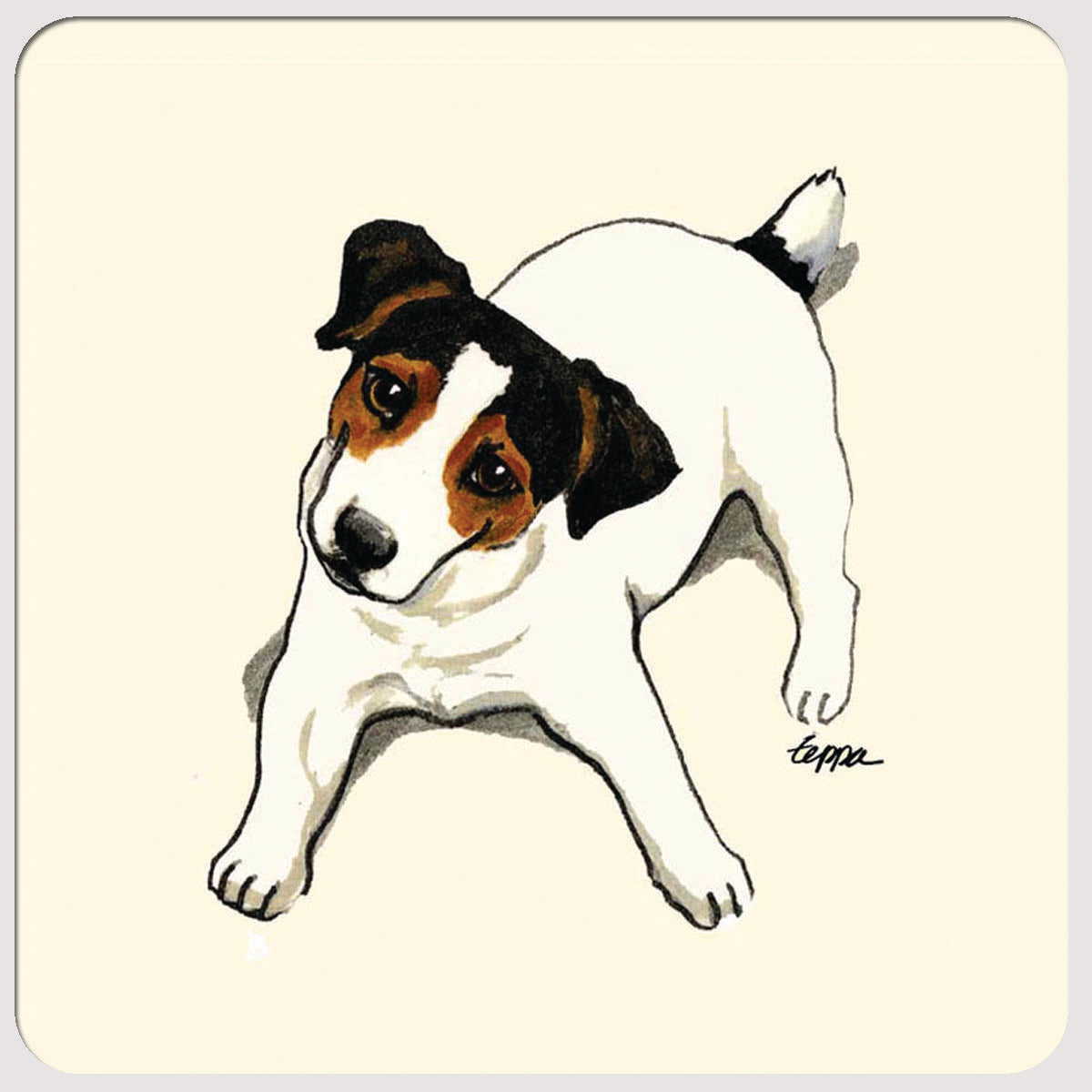 Jack Russell Terrier Beverage Coasters
