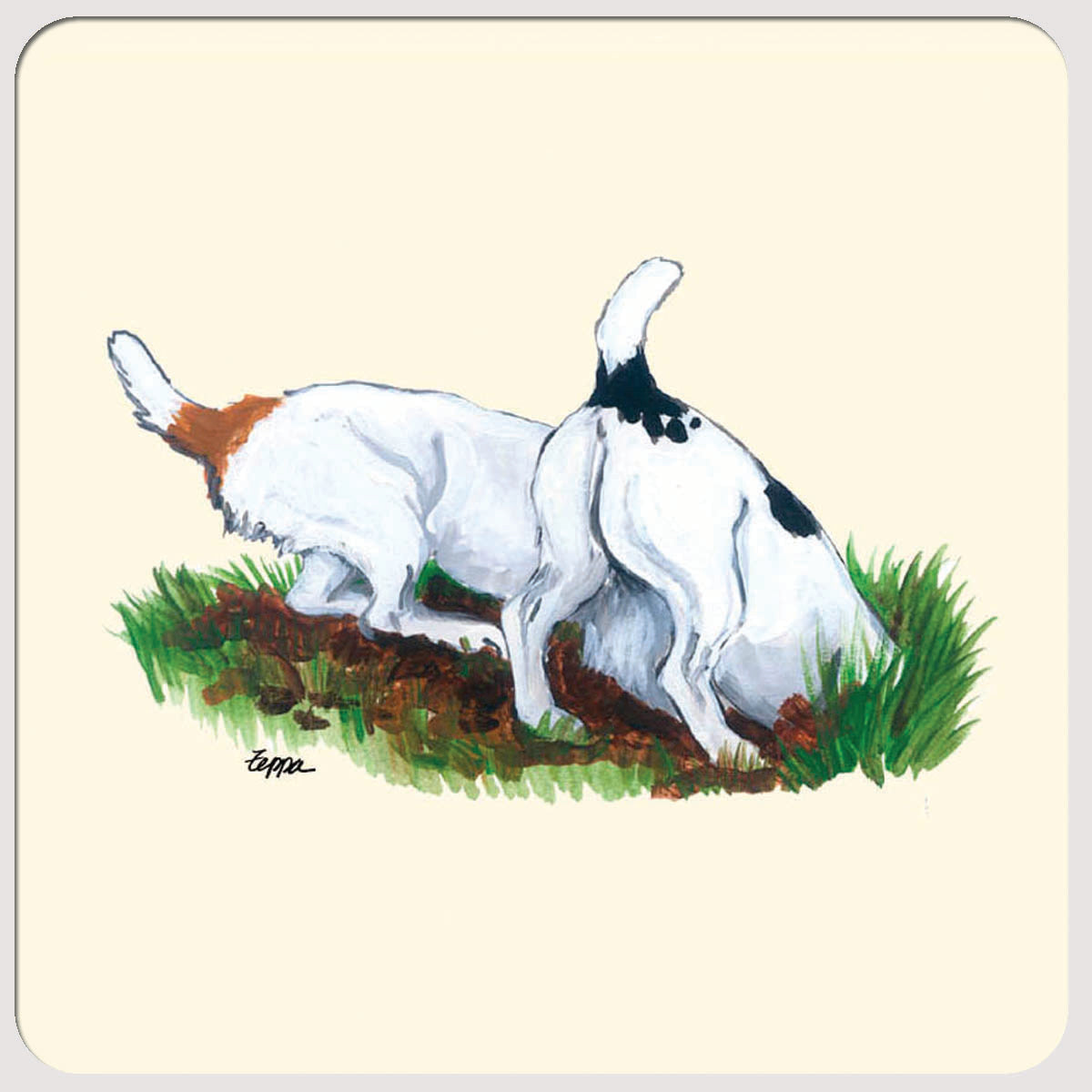 Jack Russell Terrier Beverage Coasters