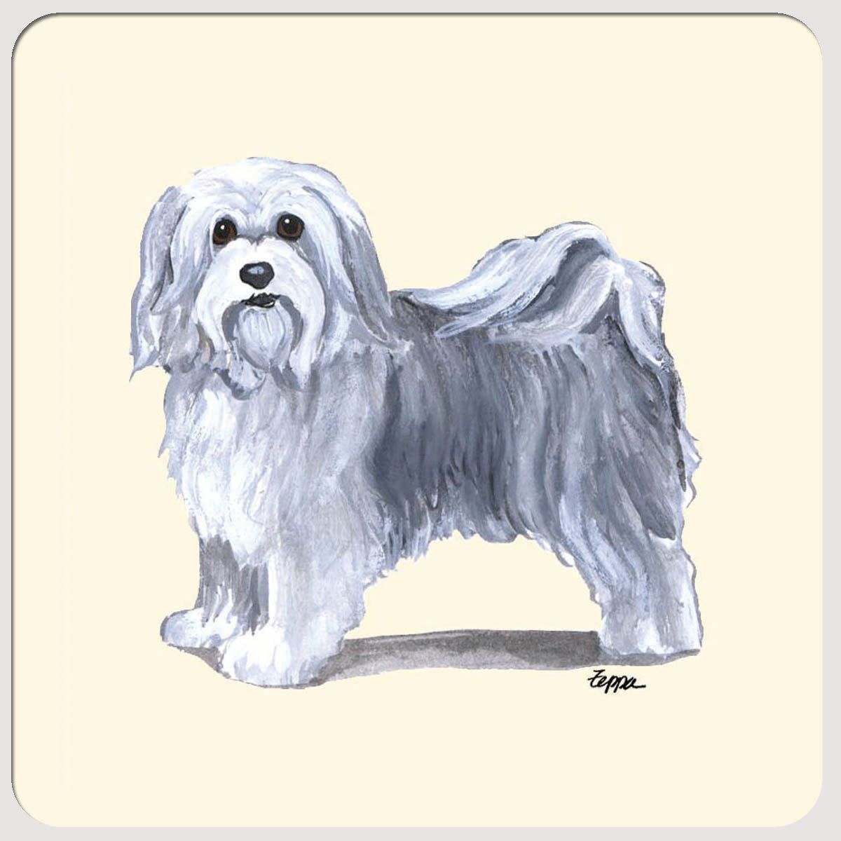 Havanese Beverage Coasters