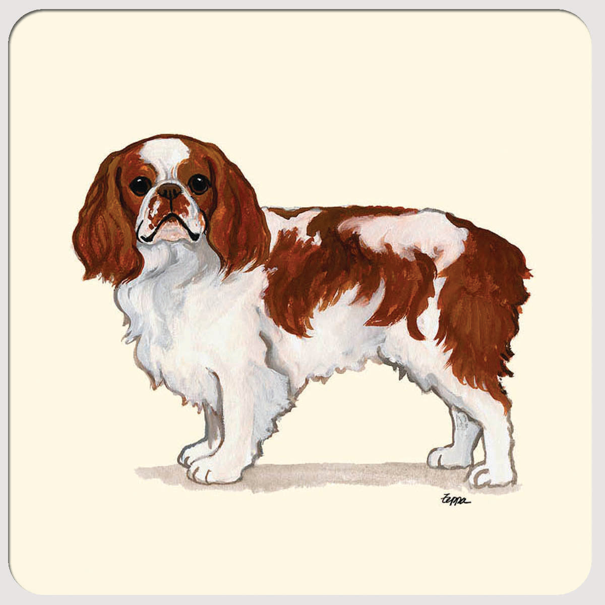 English Toy Spaniel Beverage Coasters