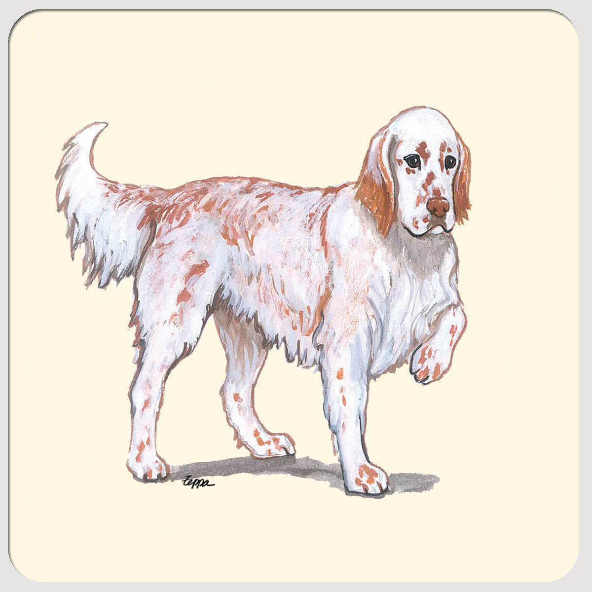 English Setter Beverage Coasters
