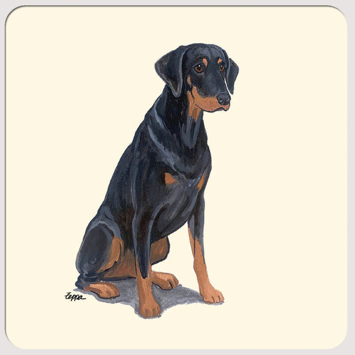 Doberman Pinscher Beverage Coasters