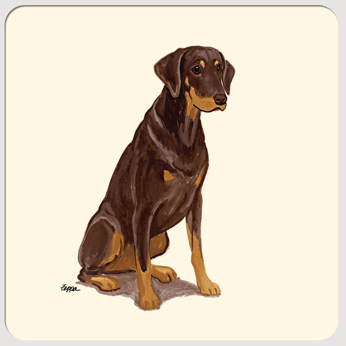 Doberman Pinscher Beverage Coasters