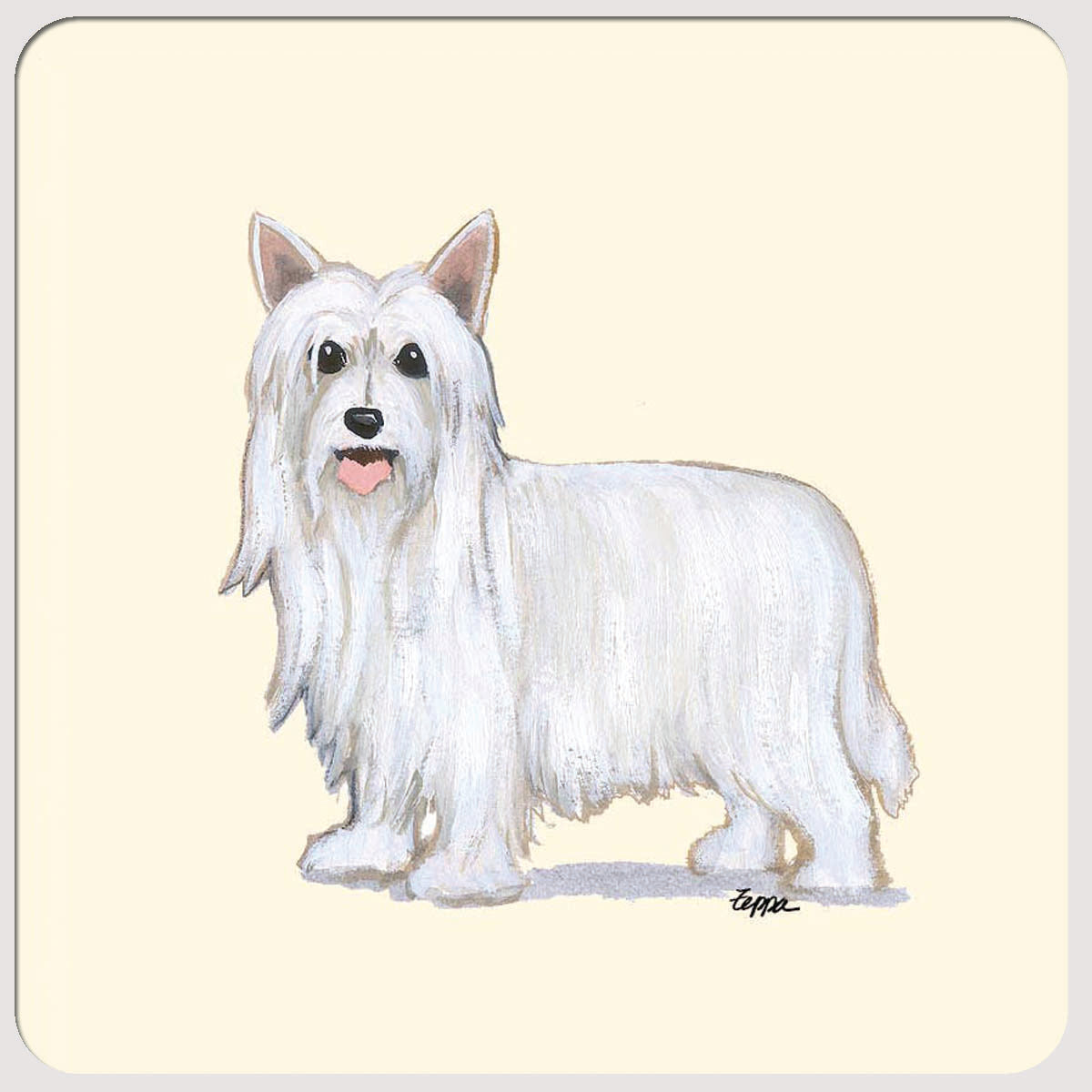 Chinese Crested Beverage Coasters