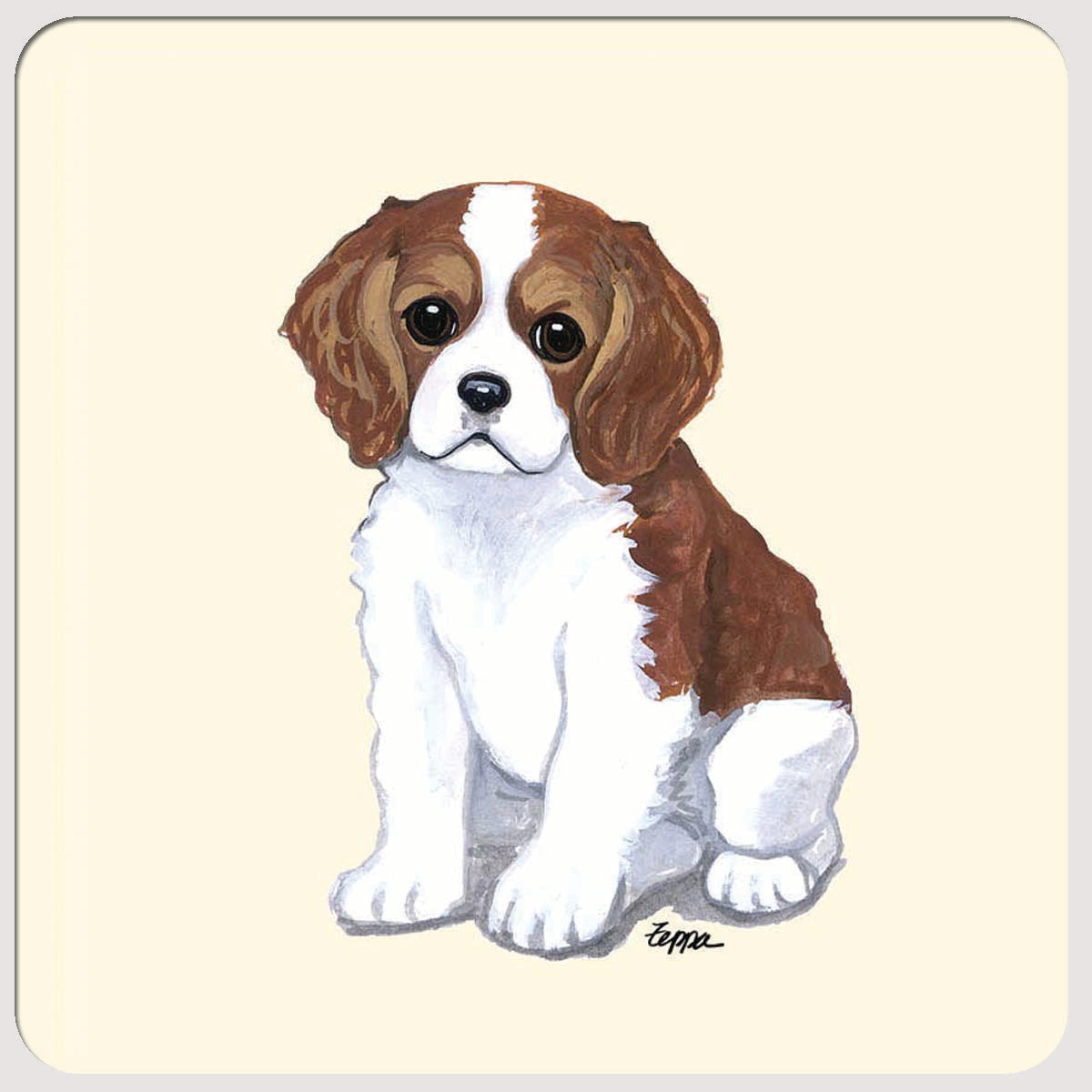 Cavalier King Charles Spaniel Beverage Coasters