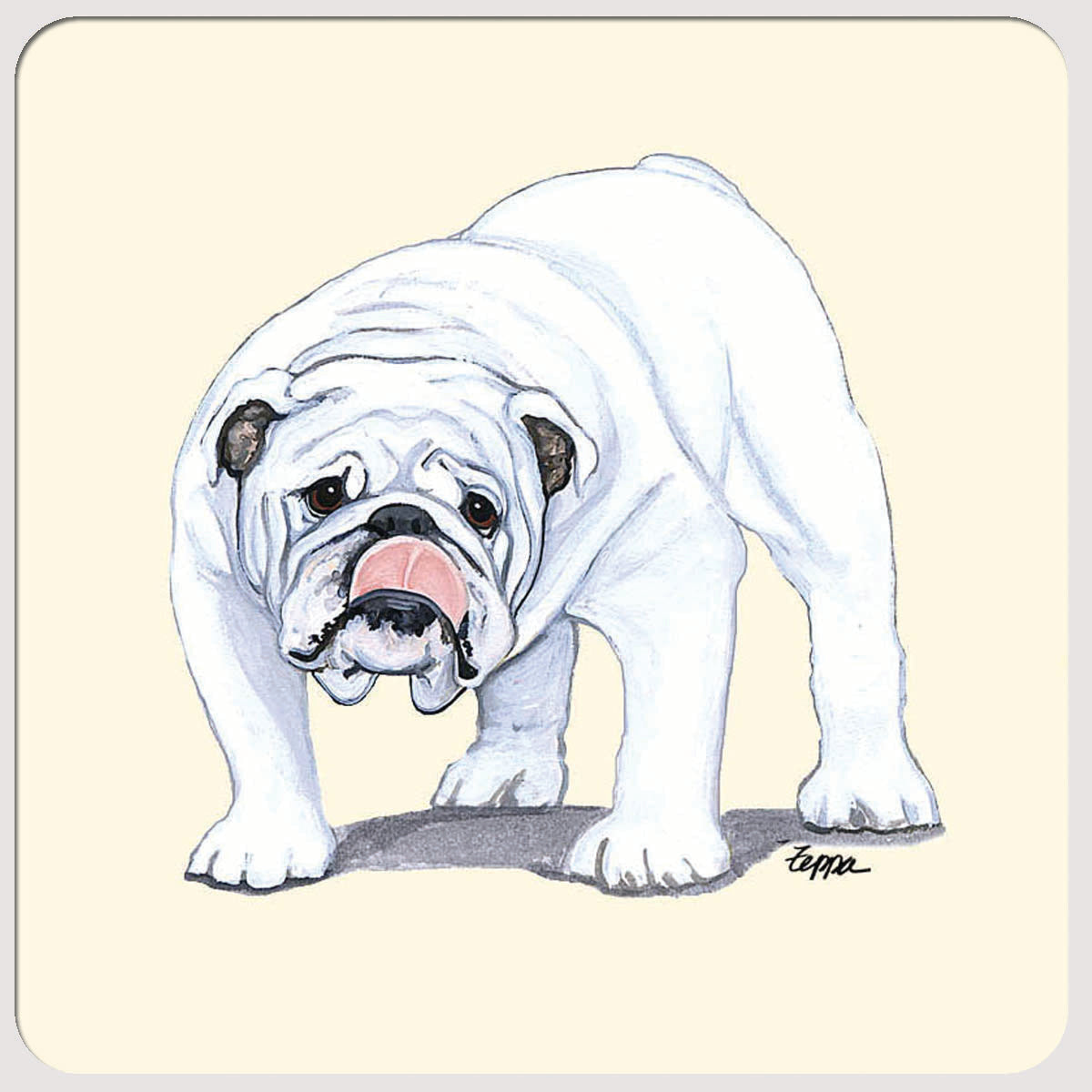 Bulldog Beverage Coasters