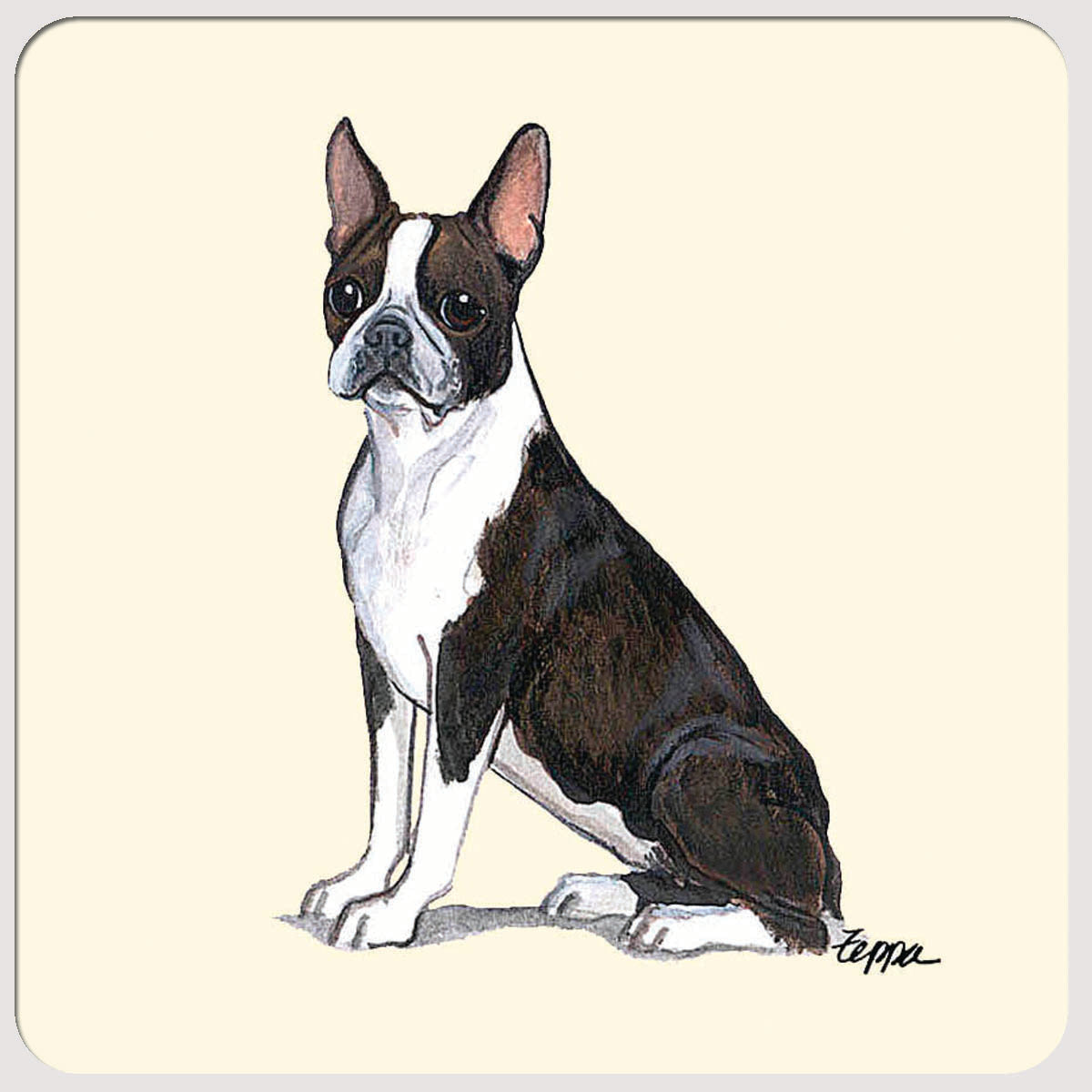 Boston Terrier Beverage Coasters