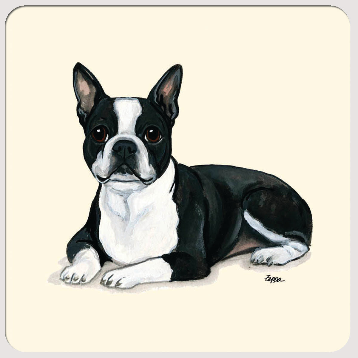 Boston Terrier Beverage Coasters