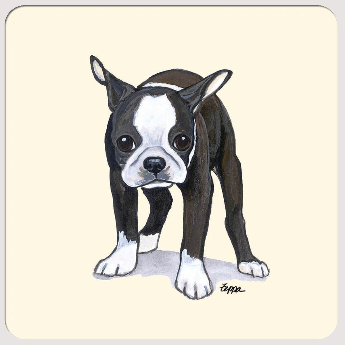 Boston Terrier Beverage Coasters