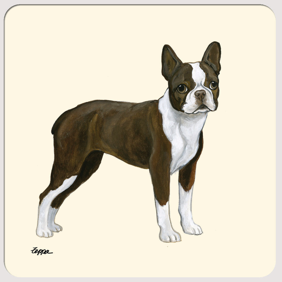 Boston Terrier Beverage Coasters