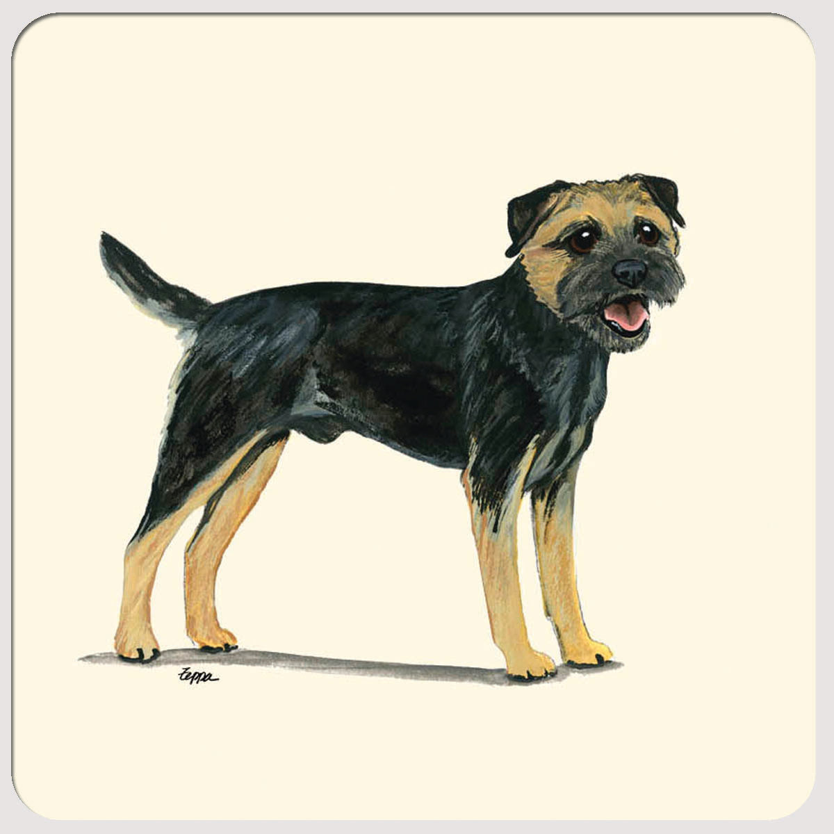Border Terrier Beverage Coasters
