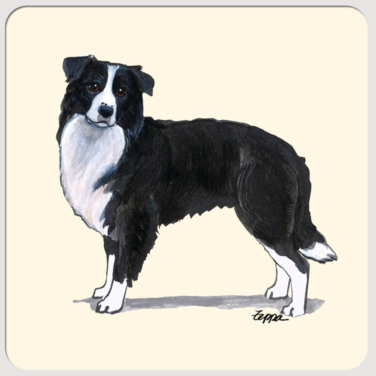 Border Collie Beverage Coasters