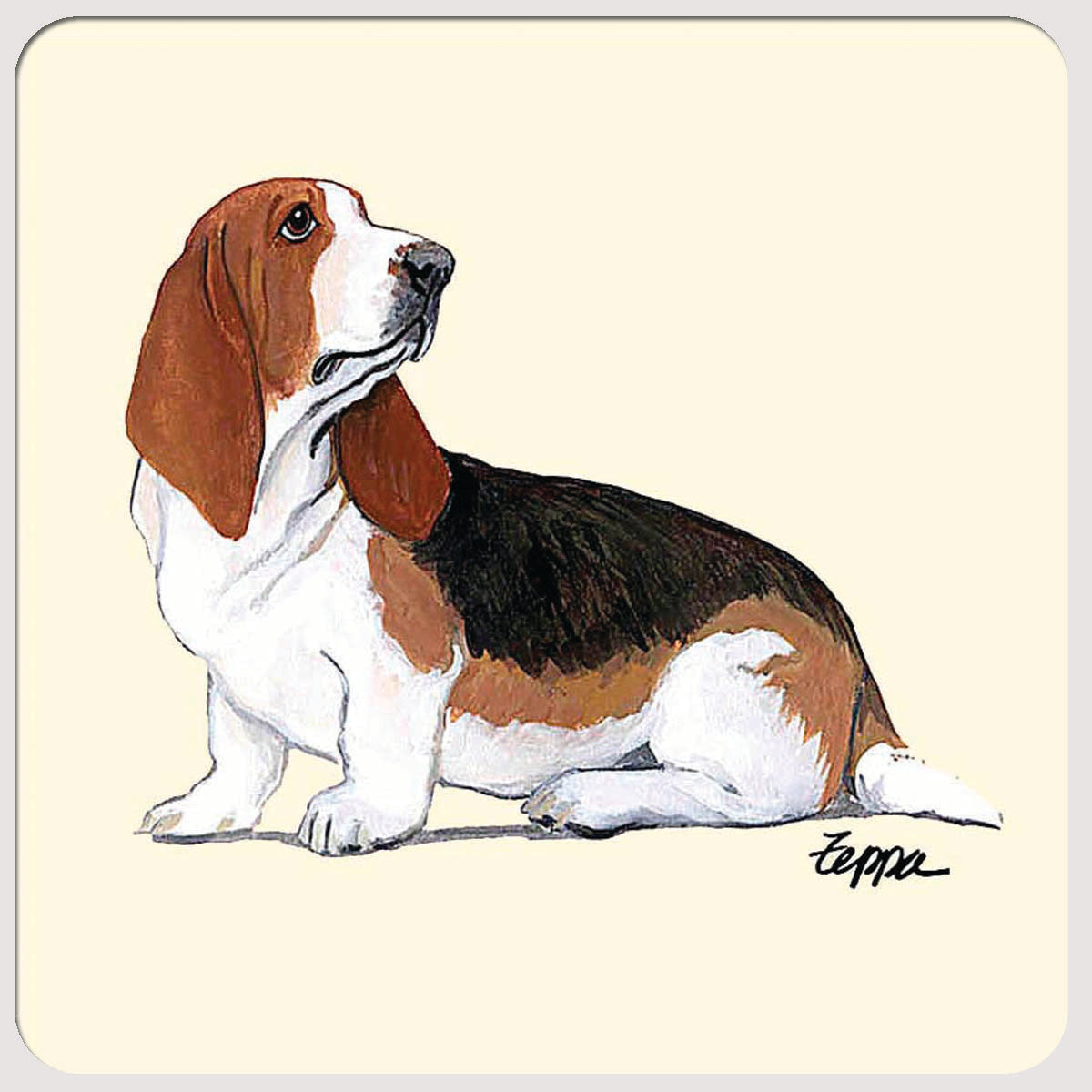 Basset Hound Beverage Coasters