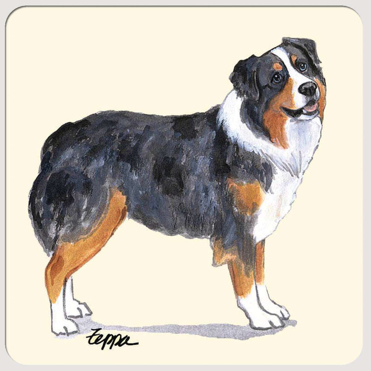 Australian Shepherd Beverage Coasters