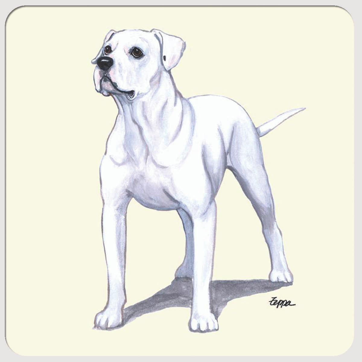 American Bulldog Beverage Coasters