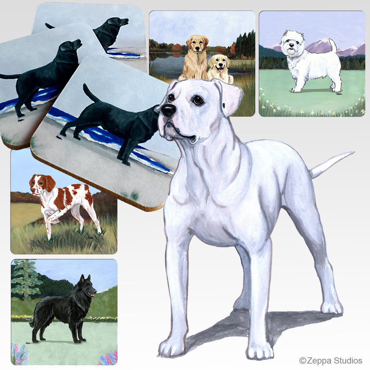 American Bulldog Scenic Coasters