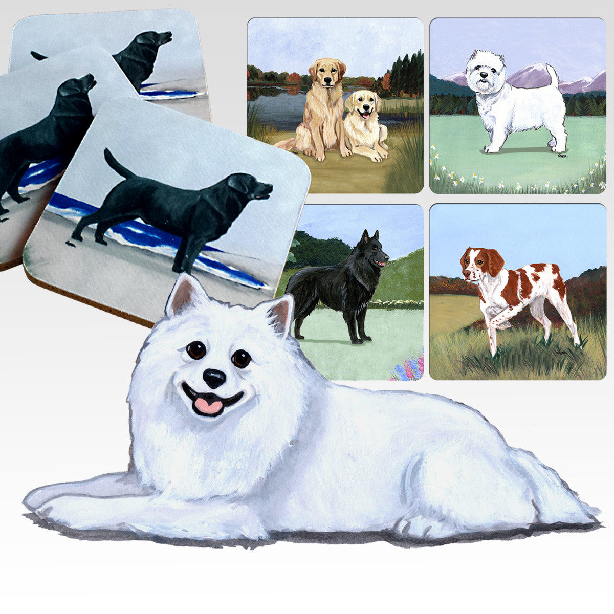 American Eskimo Dog Scenic Coasters