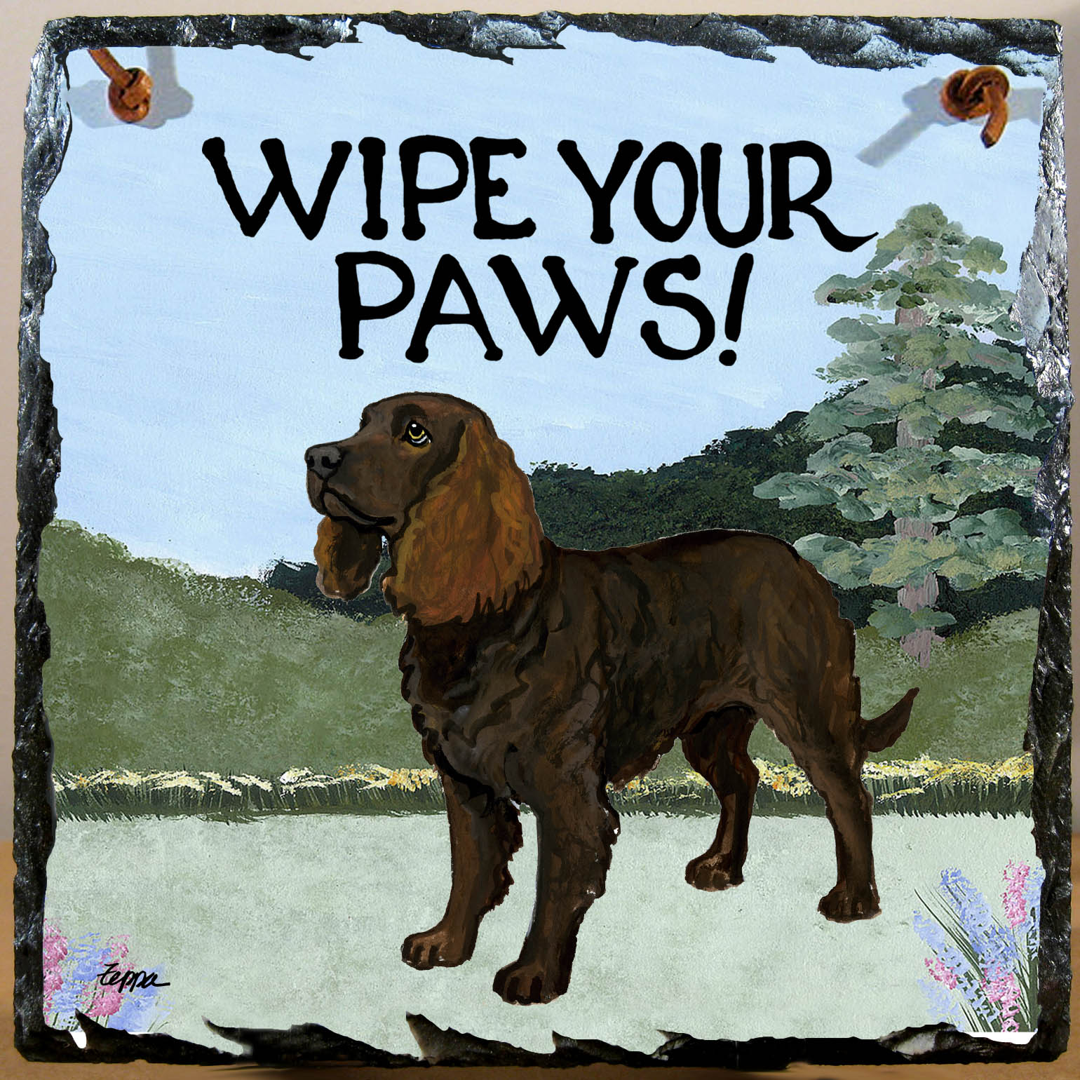 American Water Spaniel Slate Signs