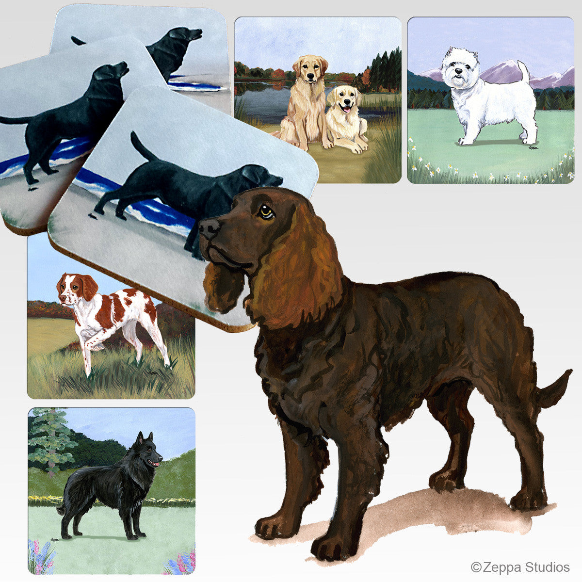 American Water Spaniel Scenic Coasters