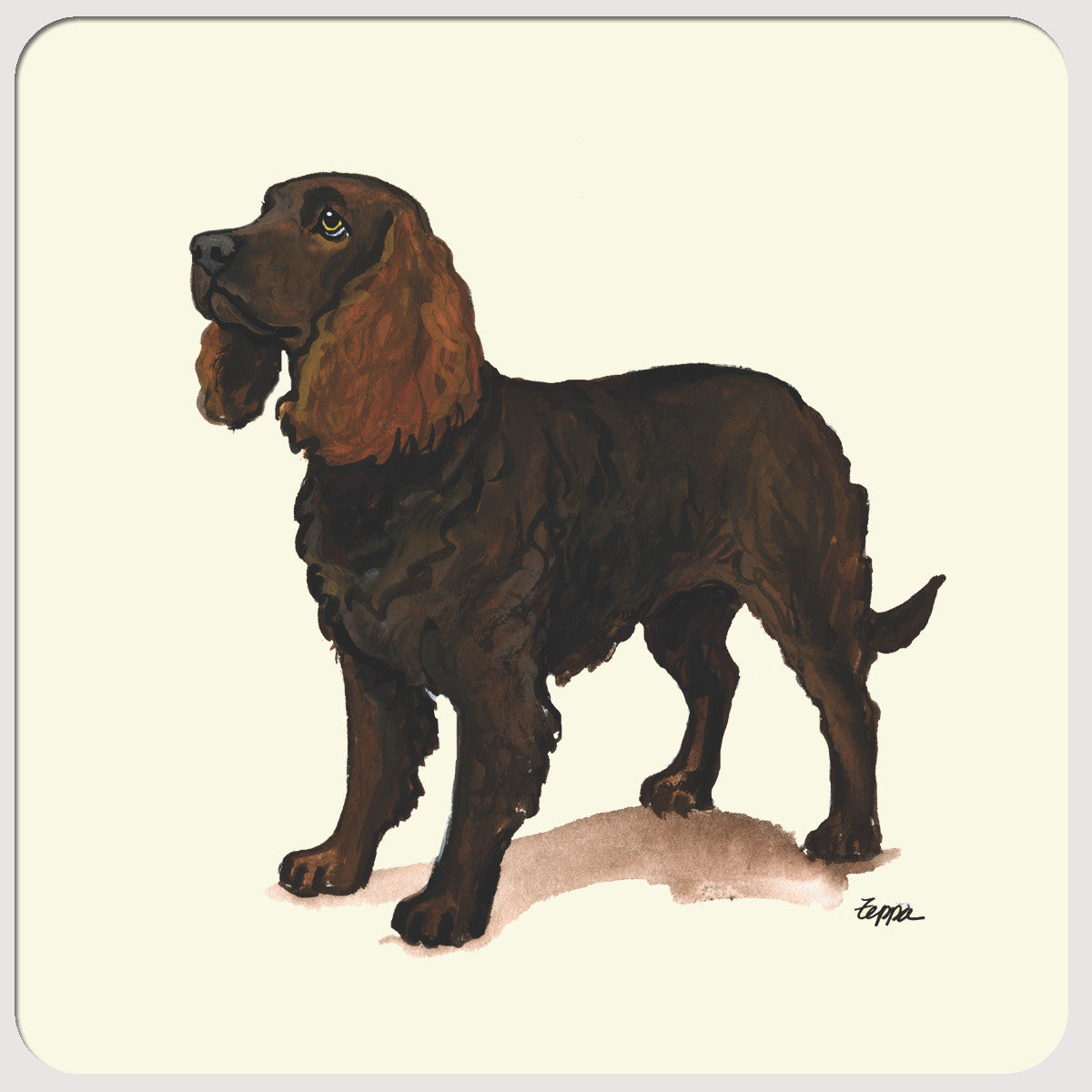 American Water Spaniel Beverage Coaster