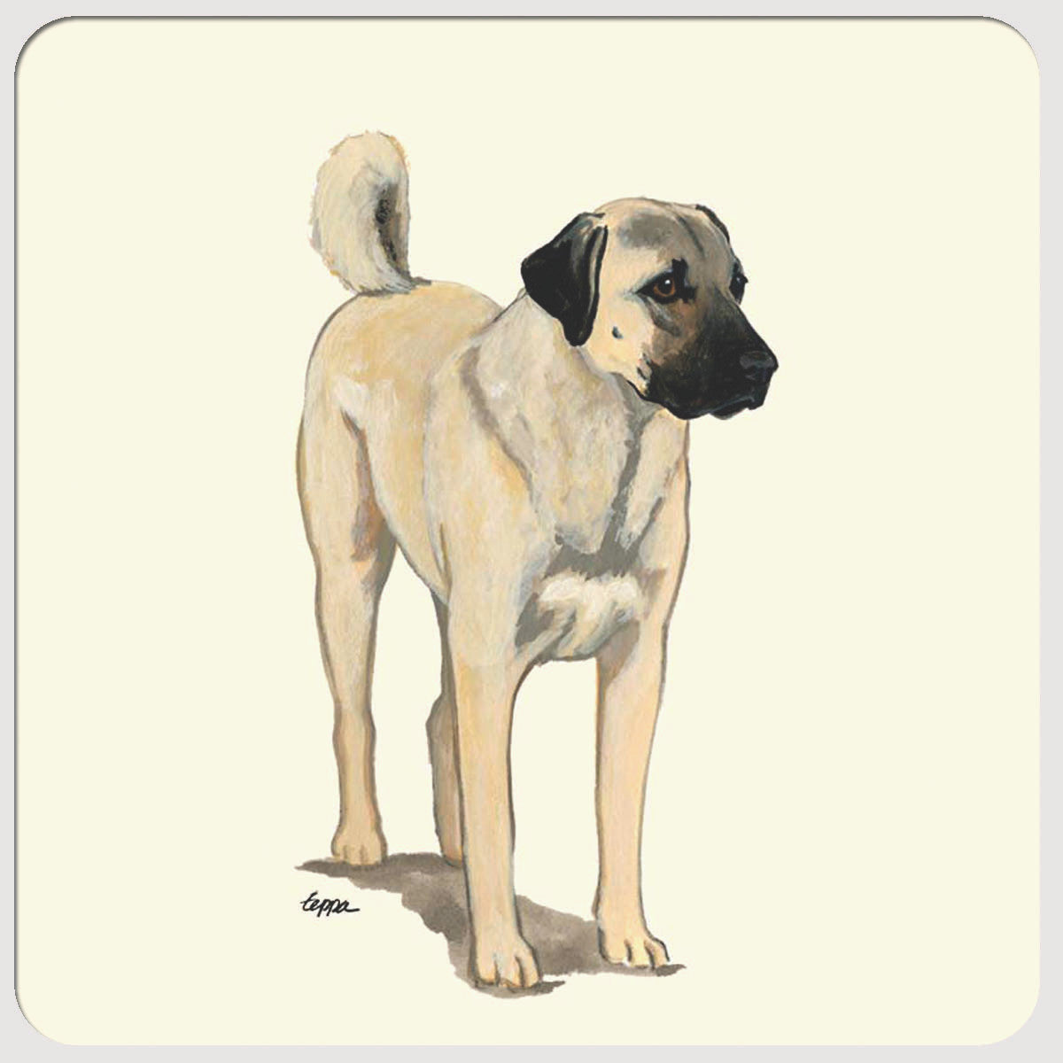 Anatolian Shepherd Beverage Coasters