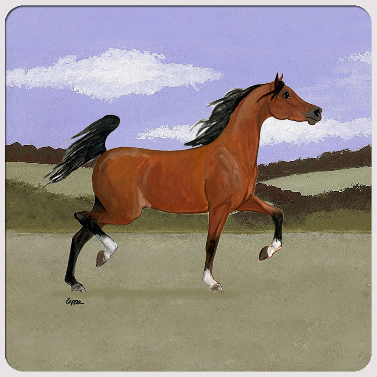 Arabian Horse scenic coasters.