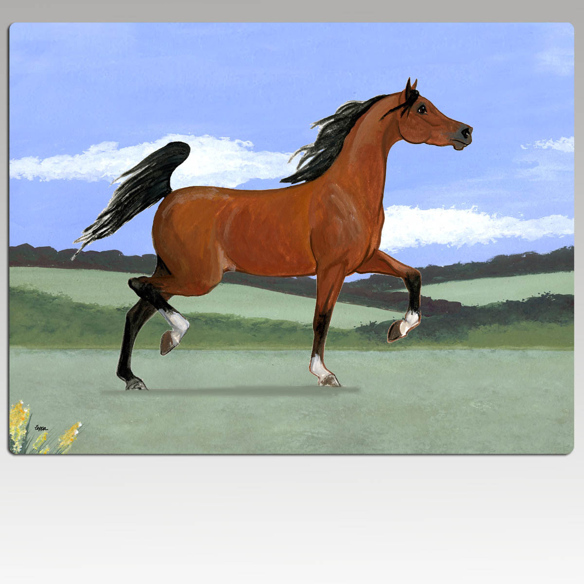 Arabian Horse Rectangular Scenic Mouse Pad