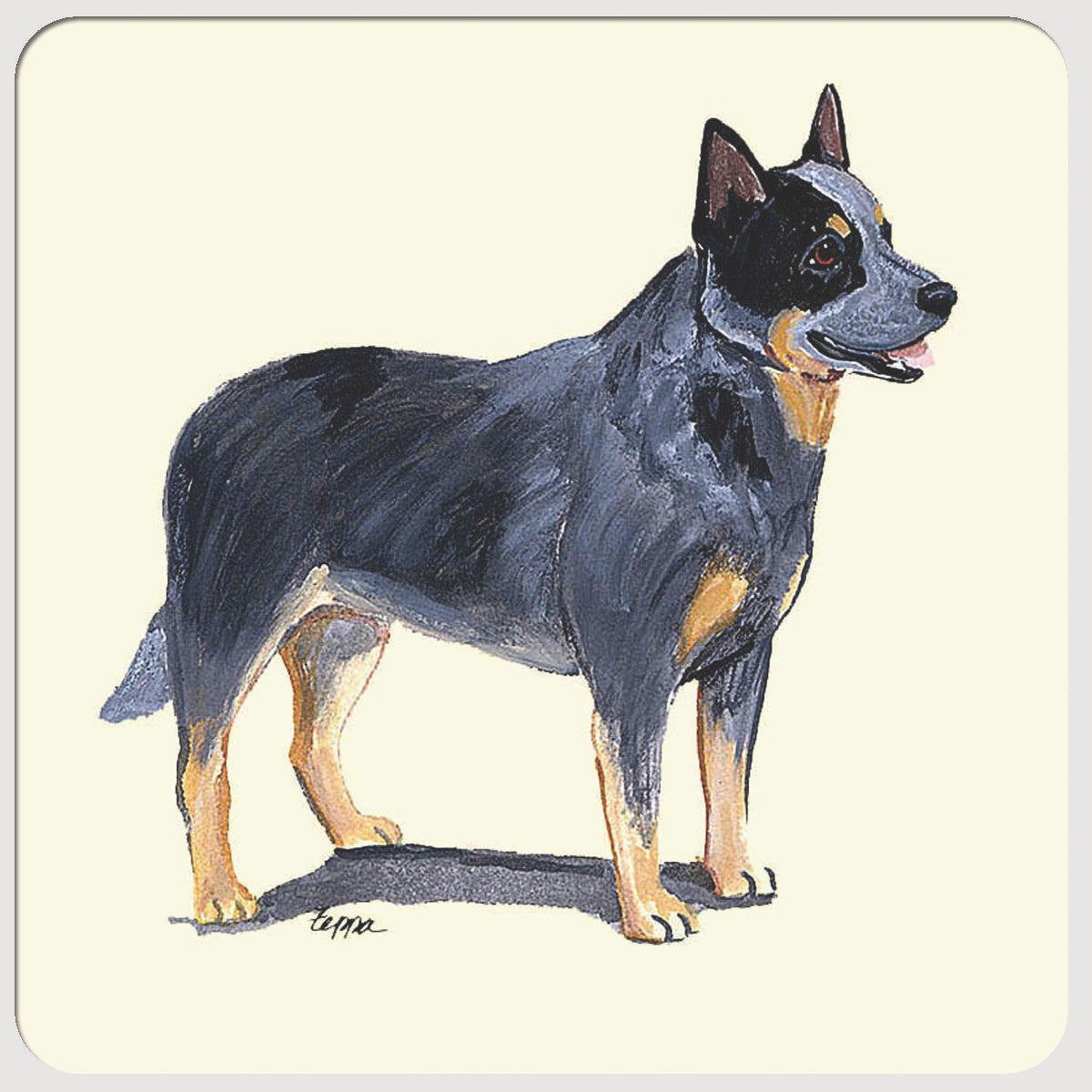 Australian Cattle Dog Beverage Coasters