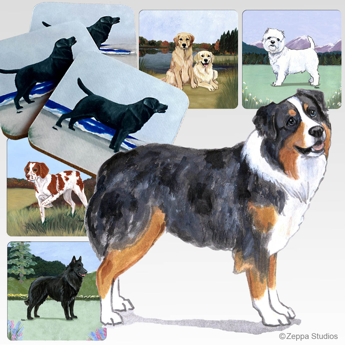 Australian Shepherd Scenic Coasters