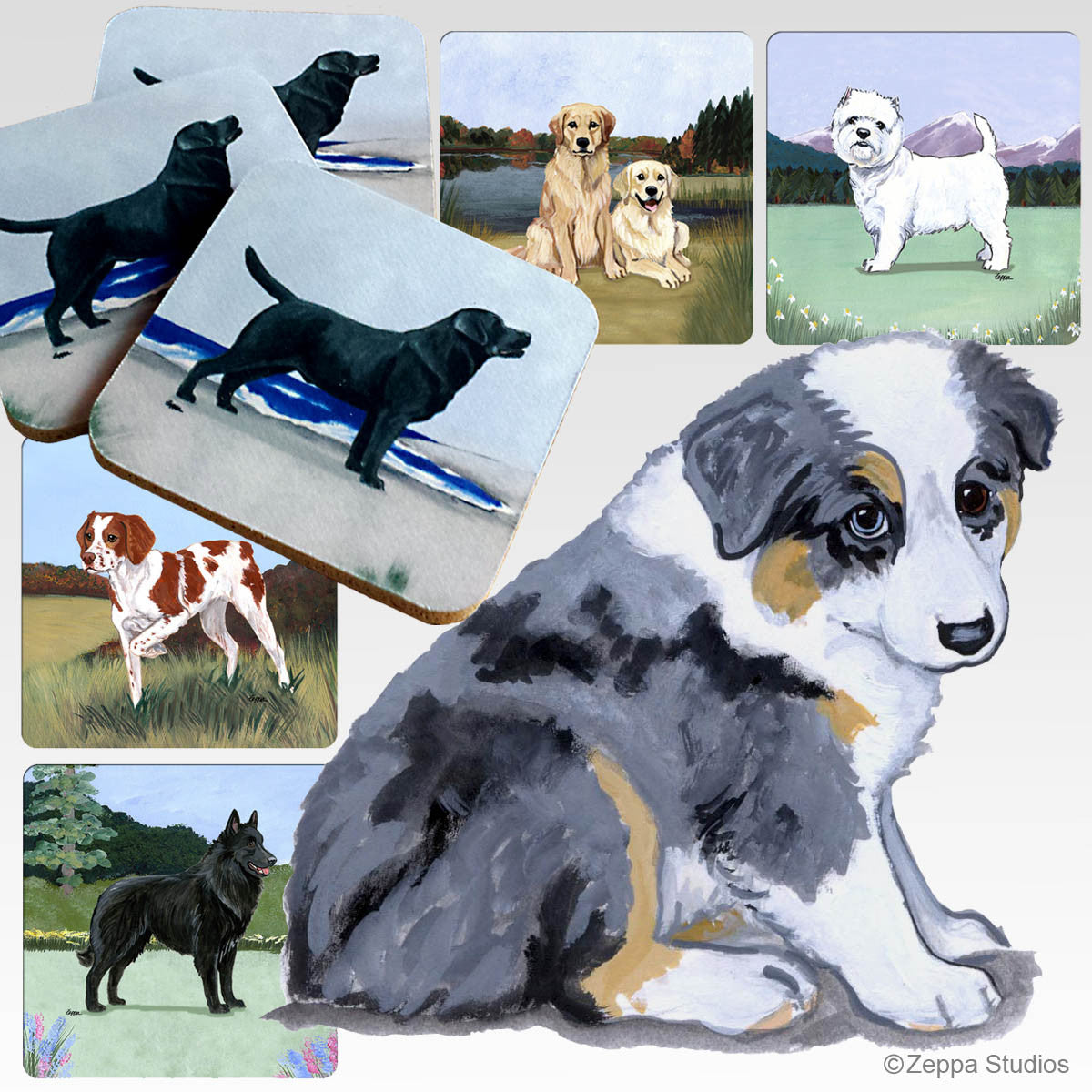 Australian Shepherd Puppy Scenic Coasters