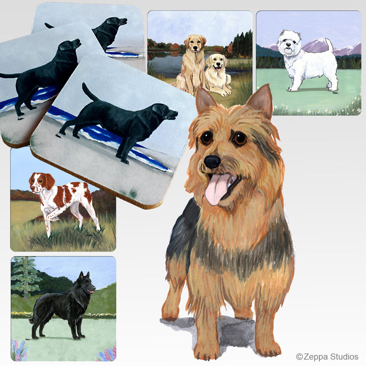 Australian Terrier Scenic Coasters