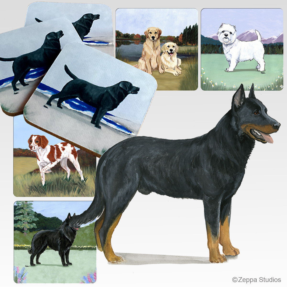 Beauceron Scenic Coasters