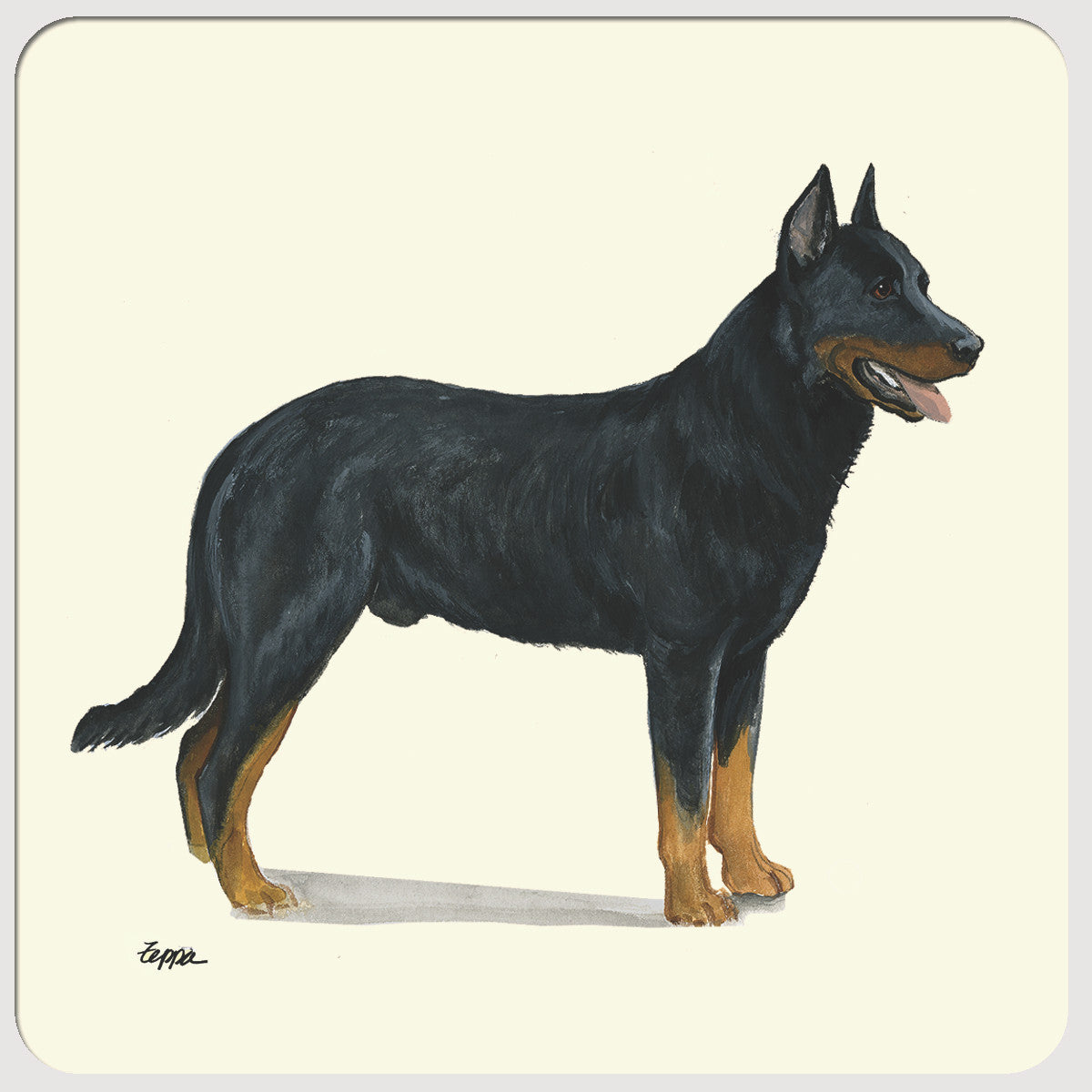 Beauceron Beverage Coasters