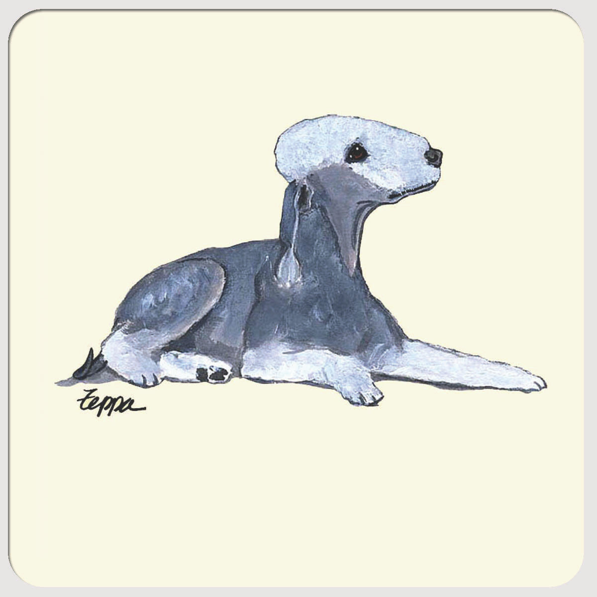 Bedlington Terrier Beverage Coasters