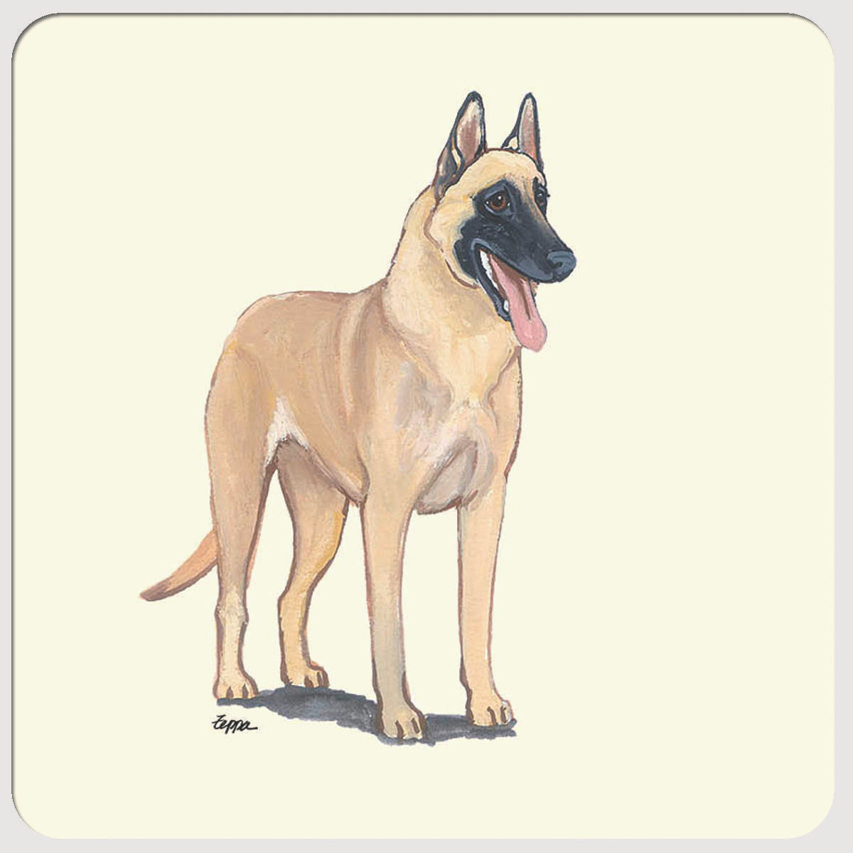 Belgian Malinois Beverage Coasters