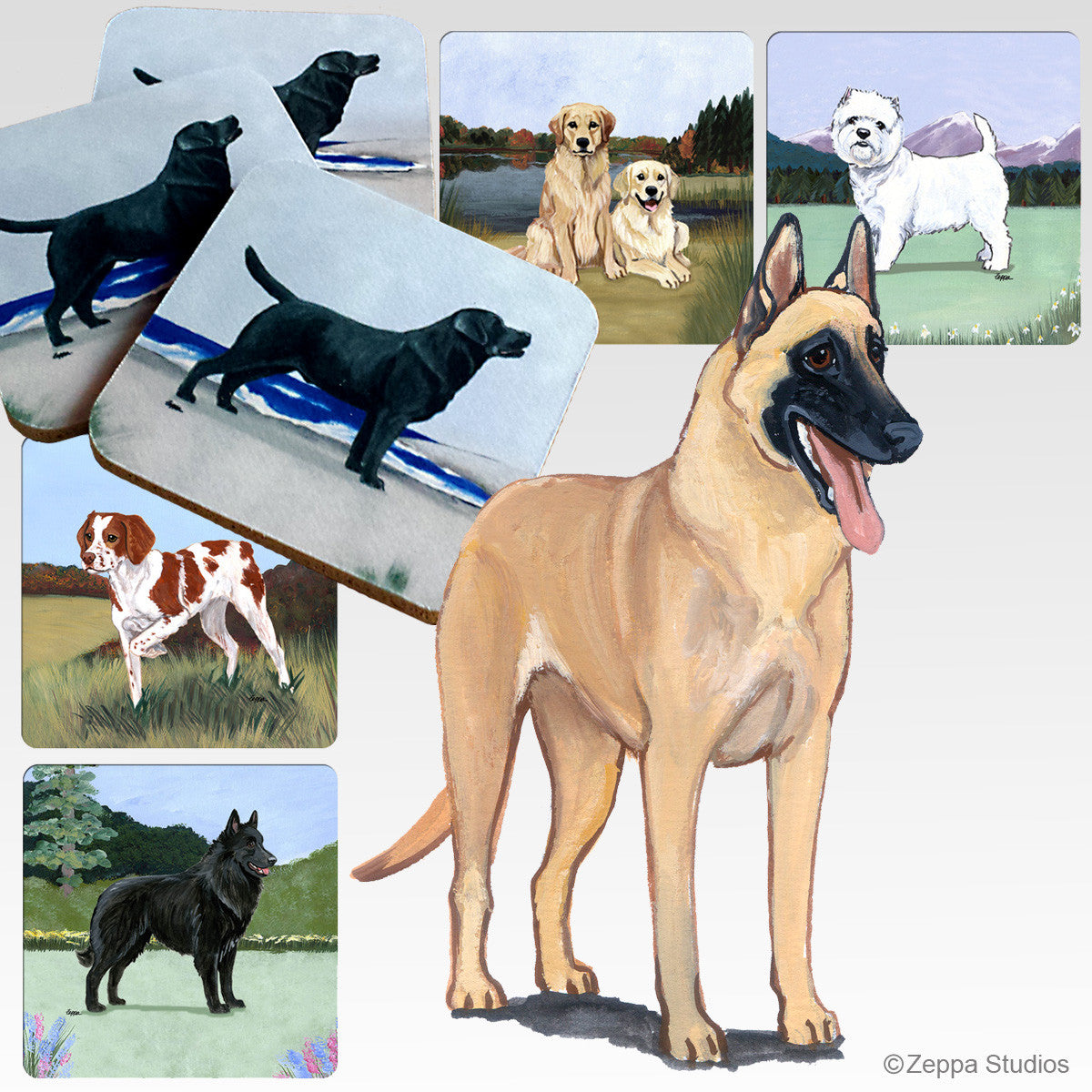 Belgian Malinois Scenic Coasters