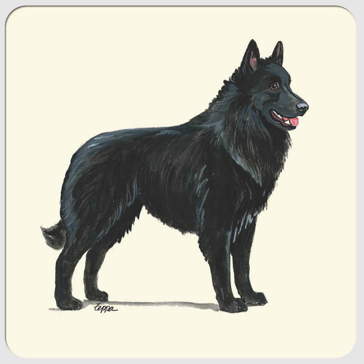 Belgian Shepherd Beverage Coasters