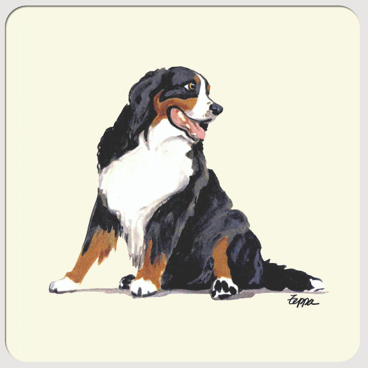 Bernese Mountain Dog Beverage Coasters