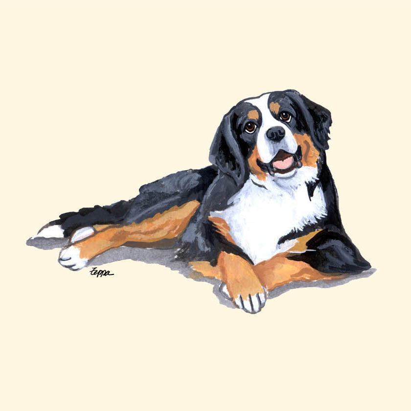 Bernese Mountain Dog Coasters