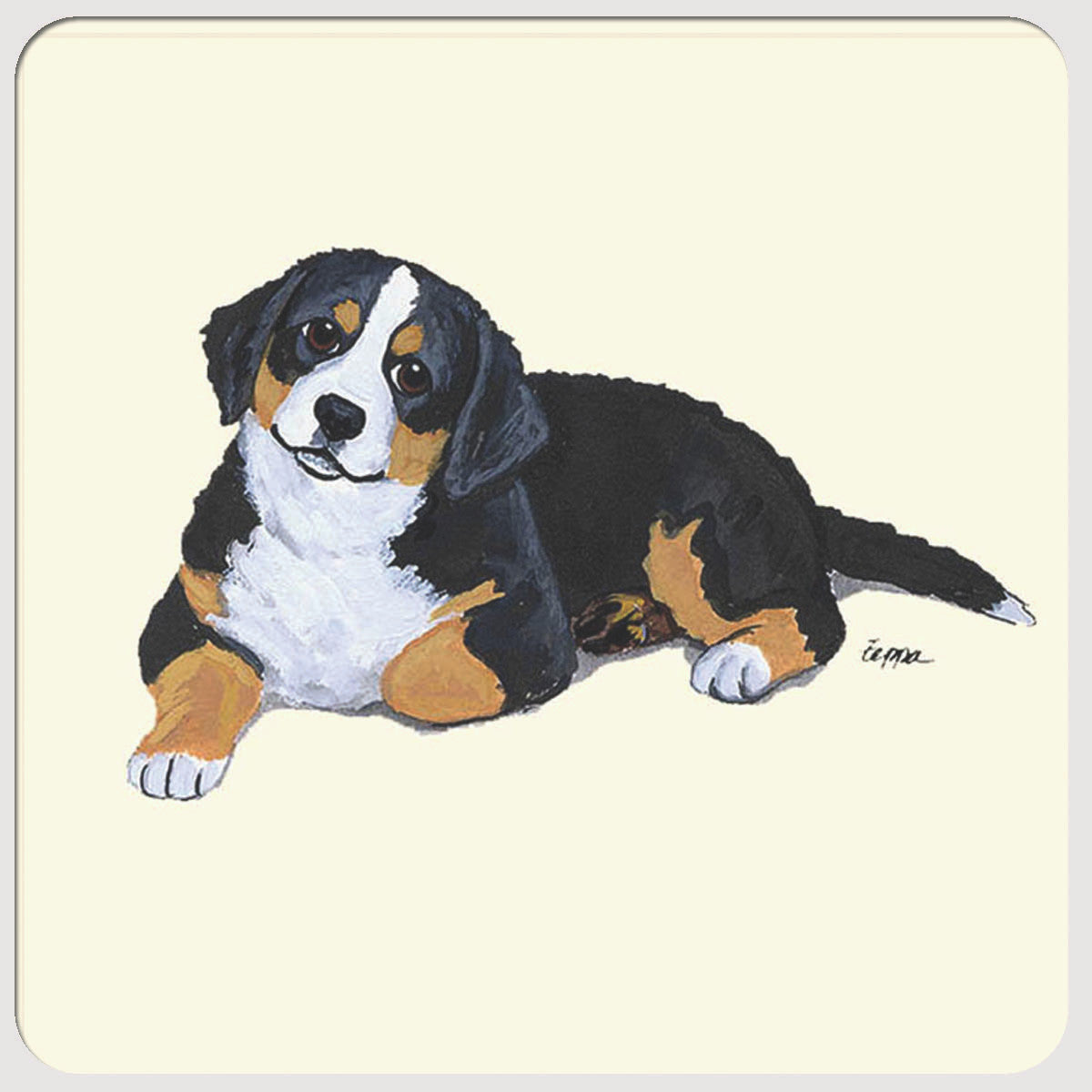 Bernese Mtn Dog Puppy Coasters