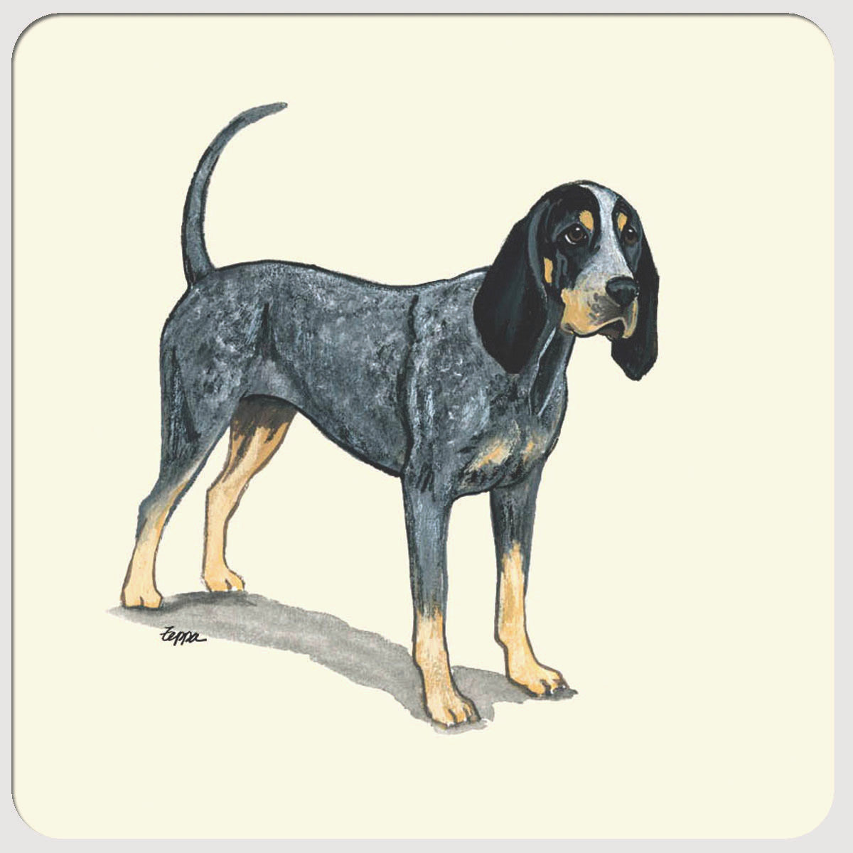 Bluetick Coonhound Beverage Coasters