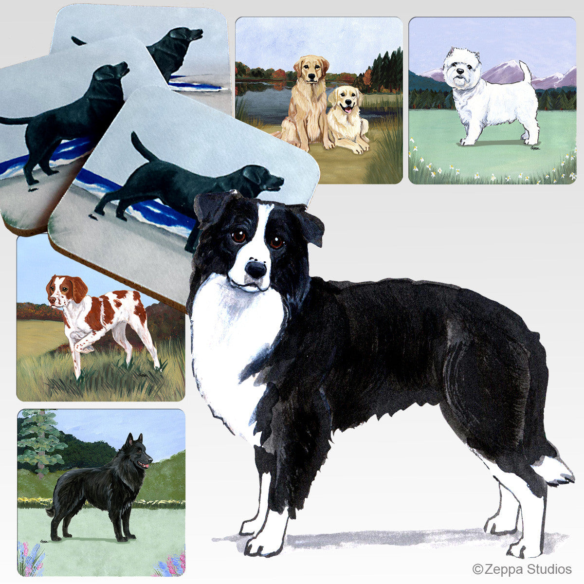 Border Collie Scenic Coasters