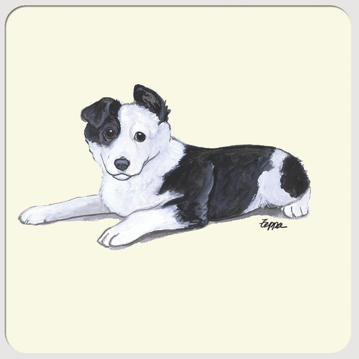 Border Collie Puppy Coasters