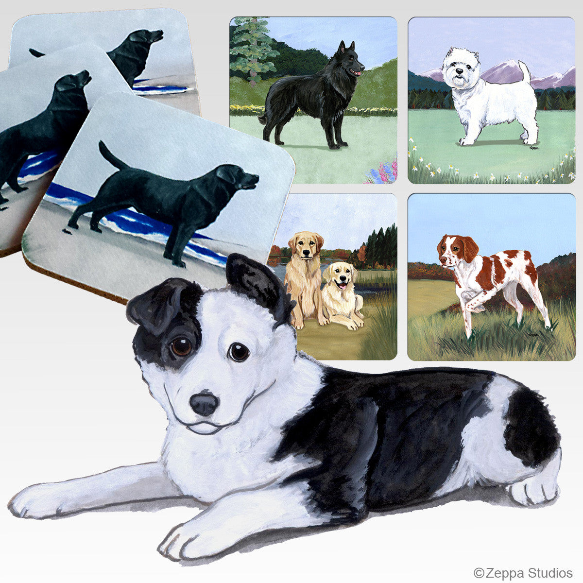 Border Collie Puppy Scenic Coasters