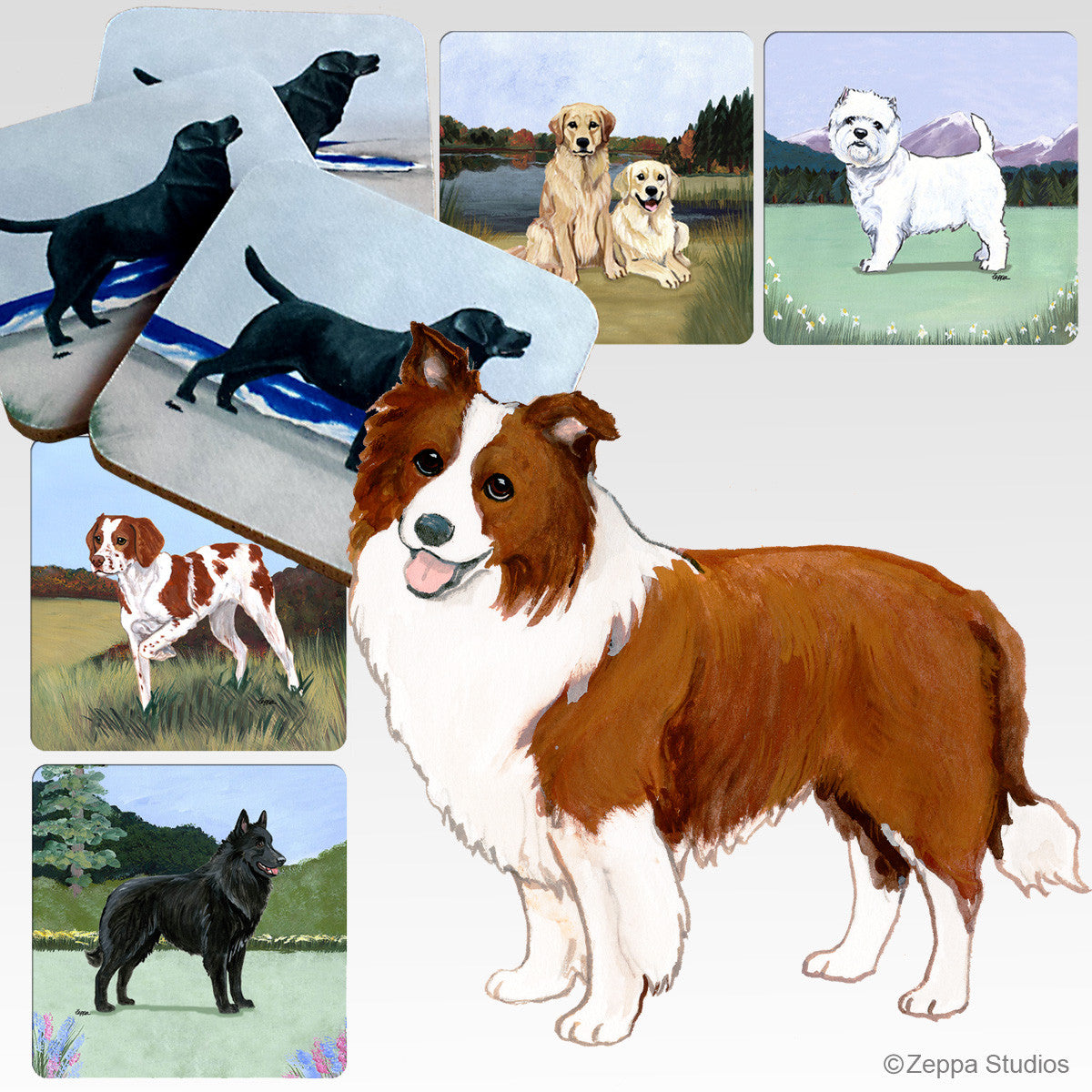 Border Collie Brown Scenic Coasters